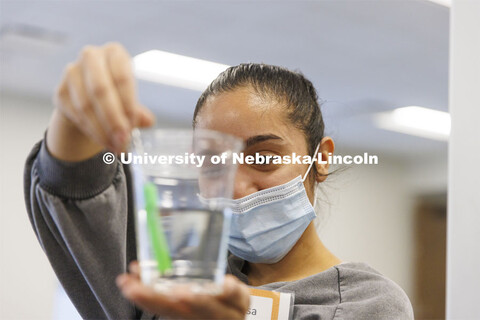 UNL honors students work as winterns for 4-H/Extension winternships and the Galactic Quest activitie