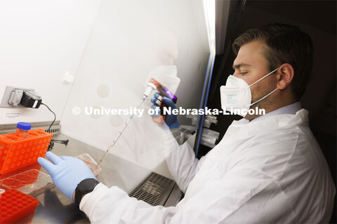 Andrew Hamann, research assistant professor in the University of Nebraska-Lincoln's Department of Bi