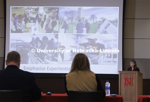 Amy Goodburn, Senior Associate Vice Chancellor and Dean of Undergraduate Education, presents to the 