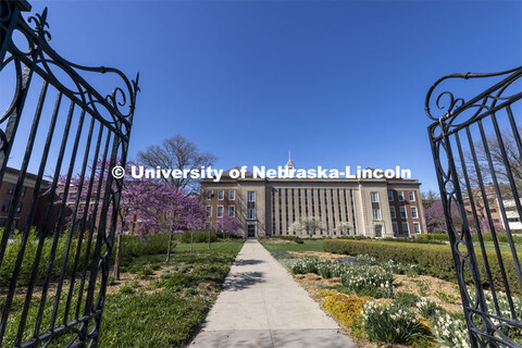 Exterior south facing view of the Love Library on City Campus. April 25, 2022. 