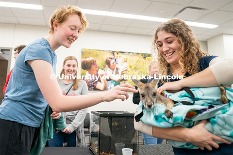 Students pet animals during the End of Year Bash inside the East Campus Union on Saturday, April 30,