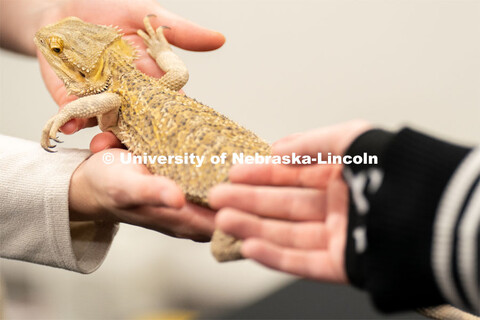 Students pet and hold animals during the End of Year Bash inside the East Campus Union on Saturday, 