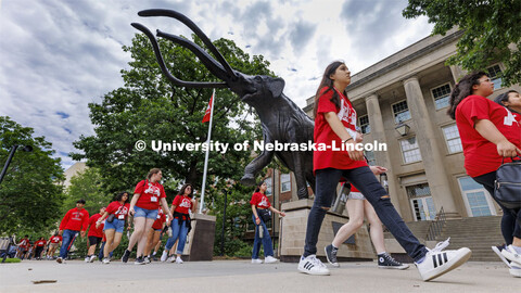 Students in the junior camp walk past Archie the mammoth on their way to a session for the College o