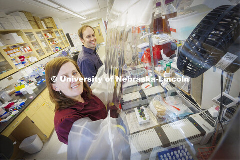 Jennifer and Thomas Auchtung, a husband and wife microbiologist team with IANR’s Food Science and 