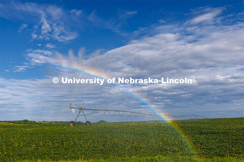 A center pivot northeast of Adams, Nebraska makes a rainbow in the evening sunlight. July 1, 2022. 