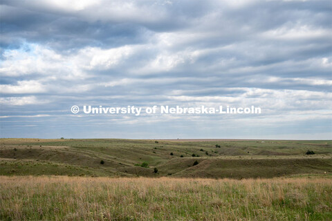 A pasture southwest of North Platte. July 6, 2022. 