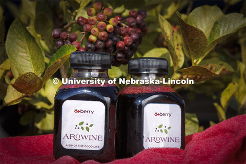 Bottles of AroJuice, a product by the A+ Berry Company. The goal of the Aronia berry research group 