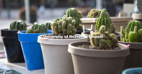 Farmers Market in the Haymarket, Lincoln, Nebraska. August 6, 2022. 
