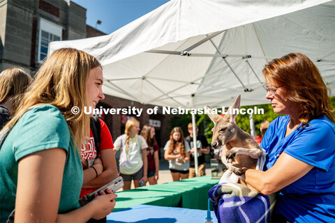 Petting Zoo with Wildlife Encounters on the Nebraska Union Plaza. September 6, 2022. 