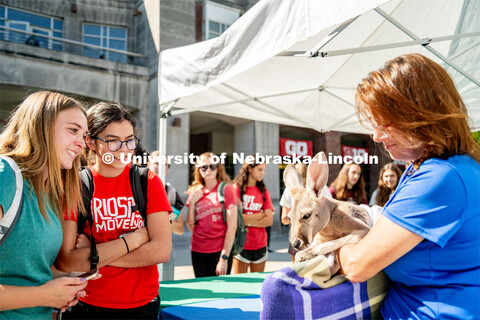 Petting Zoo with Wildlife Encounters on the Nebraska Union Plaza. September 6, 2022. 