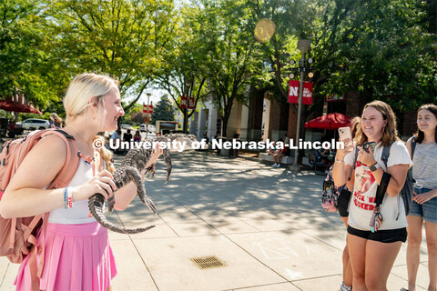 Petting Zoo with Wildlife Encounters on the Nebraska Union Plaza. September 6, 2022. 