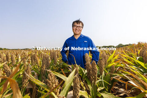 Jinliang Yang, assistant professor of agronomy and horticulture, is leading an effort to better unde