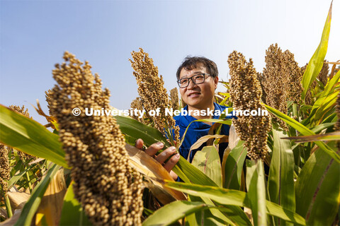 Jinliang Yang, assistant professor of agronomy and horticulture, is leading an effort to better unde
