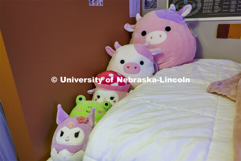 Squishmallow pillows line the top of a student's bed. Housing Photo Shoot in The Courtyards Residenc