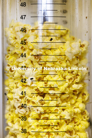 Each sample is popped in a popper identical to those used in movie theaters. The sample is measured 