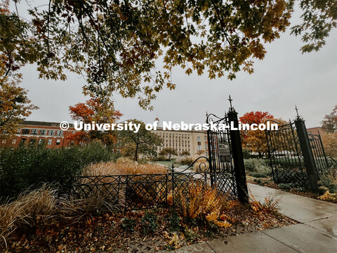 Fall on City Campus. November, 2022. Photos by Katie Black and Taylor DeMaro / University Communicat