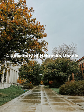 Fall on City Campus. November, 2022. Photos by Katie Black and Taylor DeMaro / University Communicat