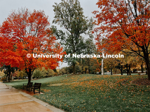 Fall on City Campus. November, 2022. Photos by Katie Black and Taylor DeMaro / University Communicat