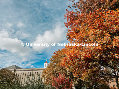 Fall on City Campus. November, 2022. Photos by Katie Black and Taylor DeMaro / University Communicat