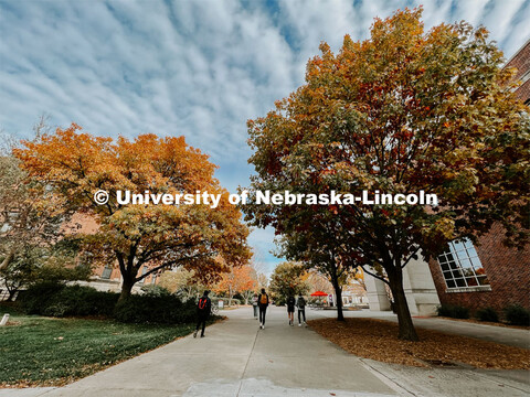 Fall on City Campus. November, 2022. Photos by Katie Black and Taylor DeMaro / University Communicat