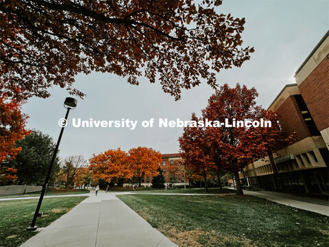 Fall on City Campus. November, 2022. Photos by Katie Black and Taylor DeMaro / University Communicat