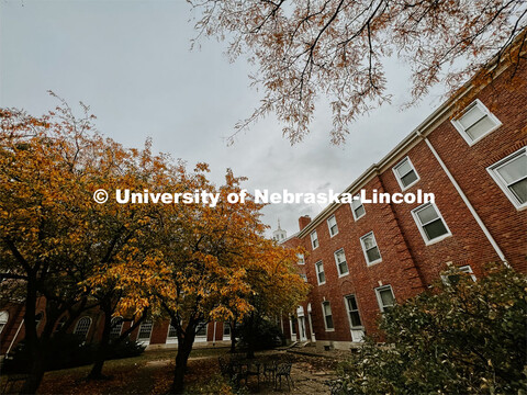 Fall on City Campus. November, 2022. Photos by Katie Black and Taylor DeMaro / University Communicat