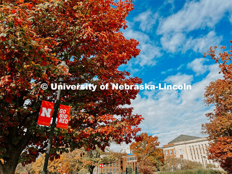 Fall on City Campus. November, 2022. Photos by Katie Black and Taylor DeMaro / University Communicat