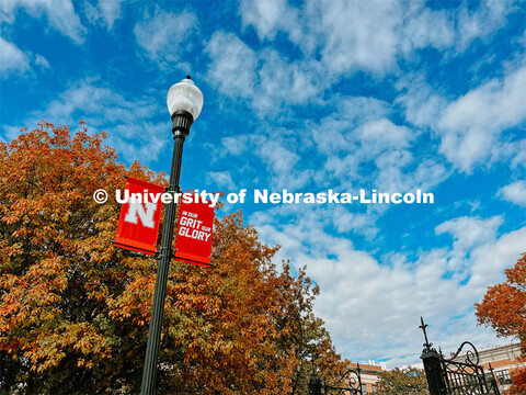 Fall on City Campus. November, 2022. Photos by Katie Black and Taylor DeMaro / University Communicat