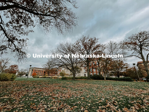 Fall on City Campus. November, 2022. Photos by Katie Black and Taylor DeMaro / University Communicat
