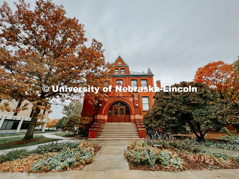 Fall on City Campus. November, 2022. Photos by Katie Black and Taylor DeMaro / University Communicat
