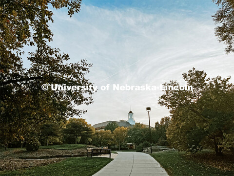 Fall on City Campus. November, 2022. Photos by Katie Black and Taylor DeMaro / University Communicat