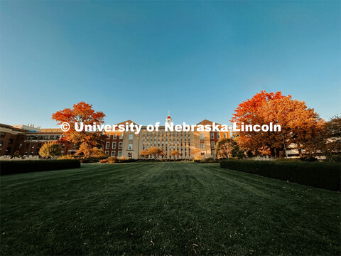 Fall on City Campus. November, 2022. Photos by Katie Black and Taylor DeMaro / University Communicat