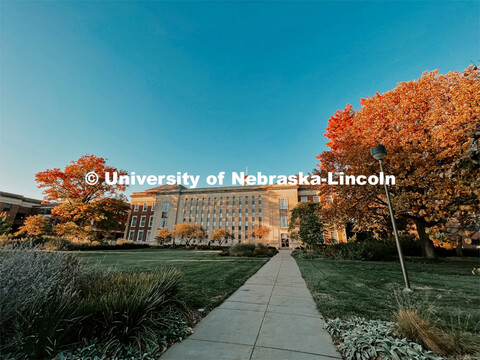Fall on City Campus. November, 2022. Photos by Katie Black and Taylor DeMaro / University Communicat