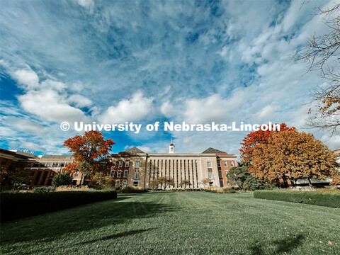 Fall on City Campus. November, 2022. Photos by Katie Black and Taylor DeMaro / University Communicat