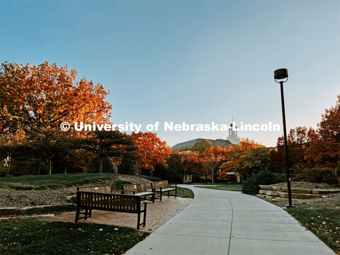 Fall on City Campus. November, 2022. Photos by Katie Black and Taylor DeMaro / University Communicat
