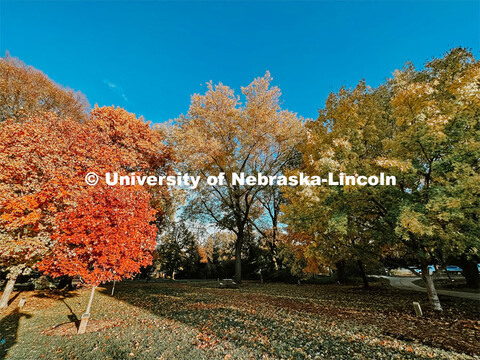 Fall on East Campus. November 10, 2022. 