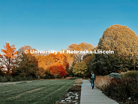 Fall on East Campus. November 10, 2022. 