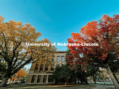 Fall on East Campus. November 10, 2022. 