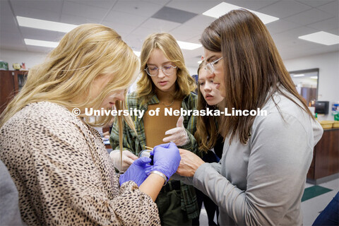 Chelle Gillan helps Taylin Greving, Kit Brooks and Sara Musil compare values on urine samples Friday