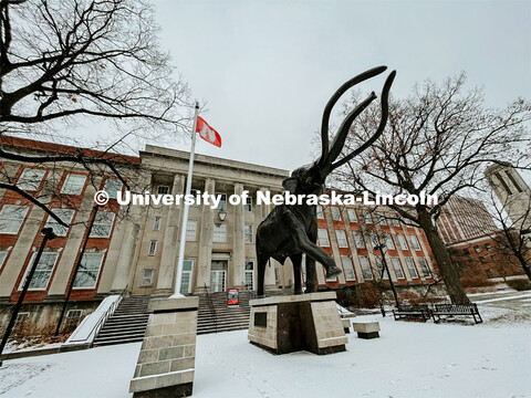 Winter on city campus, December, 2022. Photos by Katie Black  / University Communication. 