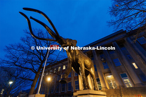 A low angle view of Archie outside of Morrill Hall. Glow Big Red. February 15, 2023. 