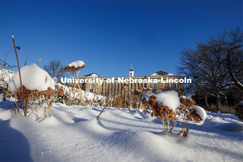 The Love gardens are covered under a blanket of snow. A snowy Friday on city campus. February 17, 20