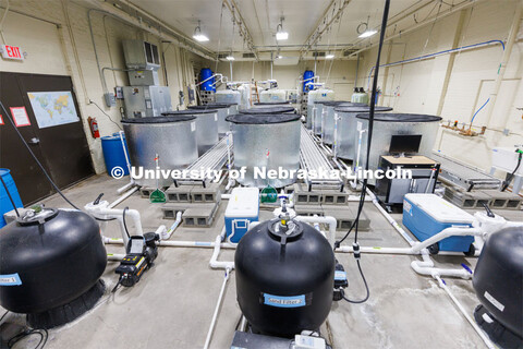 Fish in tanks at the Aquatic Biodiversity and Conservation (ABC) Lab on east campus. March 9, 2023. 