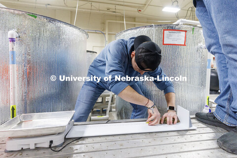 Billy Clark measures a yellow perch from one of the research tanks. Aquatic Biodiversity and Conserv