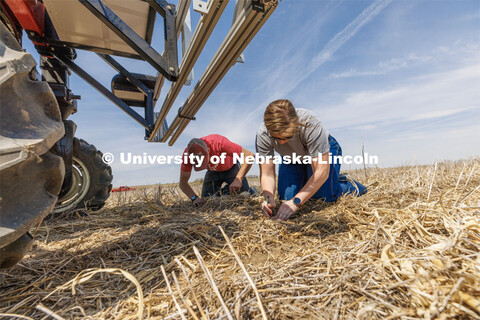 Graduate student Ian Tempelmeyer, left, and graduate research assistant Taylor Cross dig through the