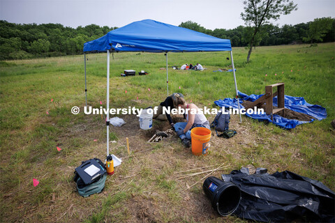 Two groups of students excavate a plastic skeleton representing an apparent crime victim at a forens