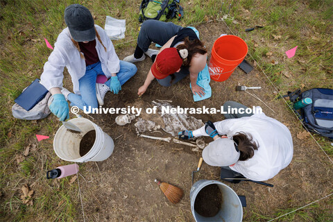 Sophia Huss, Tori Markwell and Zoe Durand work to excavate a plastic skeleton representing an appare