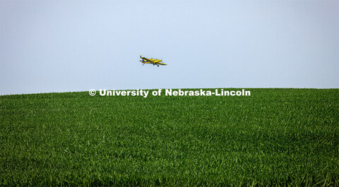 Crop duster sprays corn fields in southeast Lancaster County. June 22, 2023. 