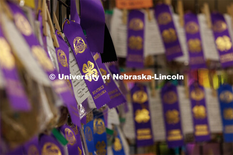 A wall of ribbons at the 4H/FFA Beef Show at the Gage County Fair and Expo in Beatrice. July 28, 202