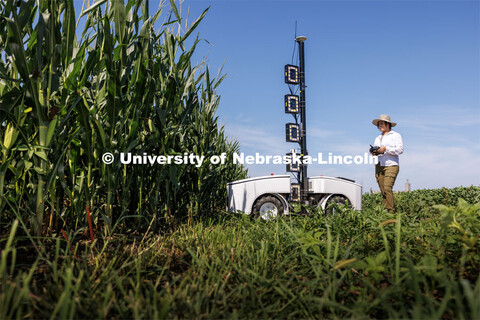 Lina Lopez-Corona, research technician with James Schnable’s group runs Phenobot through corn rows